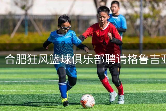 合肥狂风篮球俱乐部聘请格鲁吉亚籍教练加盟教练组